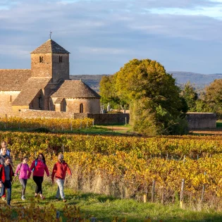 balades et randonnées en Sud Bourgogne